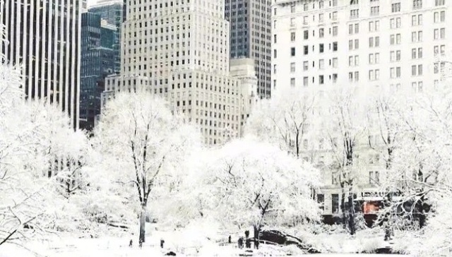 你在47.3℃的悉尼大汗淋漓，我在-69℃的美国大雪纷飞