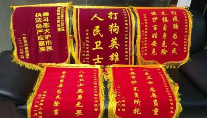 金毛犬,锦旗,美容假药,陨石,大班额,重点班,,全国正义慈善联盟,五毒县长,驴肉火烧