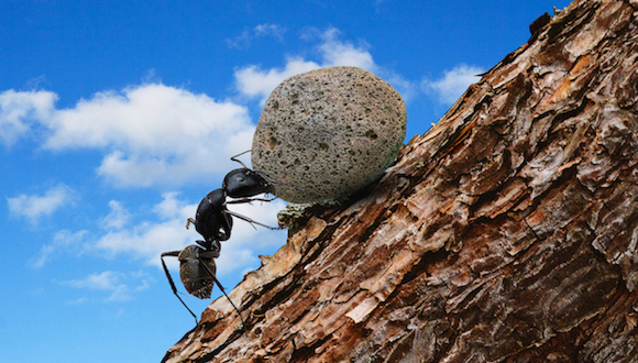 QQ,海尔,数字化时代,黑天鹅,合伙人,组织功能,摩拜单车
