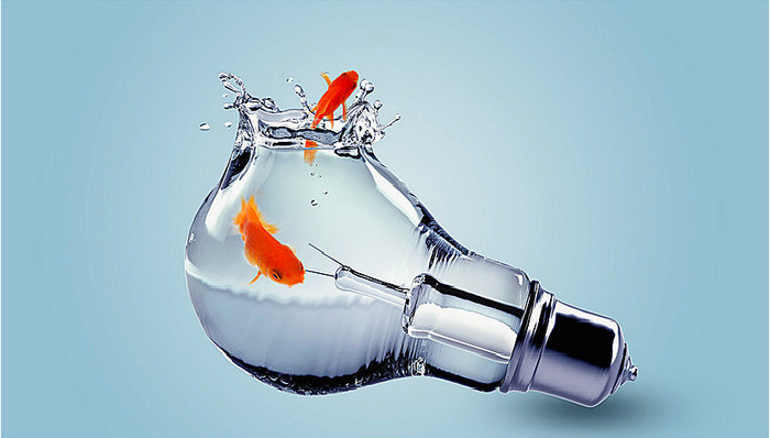 创新,跨国公司,技术,垄断,资源,战略,品牌