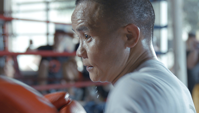 职业拳击,中国拳王,熊朝忠,金腰带,复出,泰国拳手,最后一战