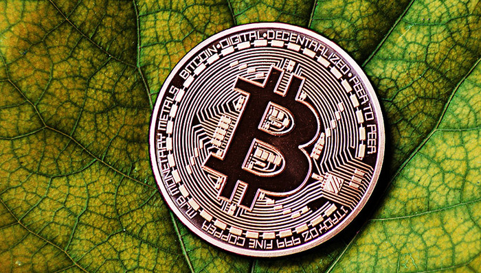 林吓洪,财经,谷歌,ETHFans,ChangeTips,VitalikButerin,Edmodo