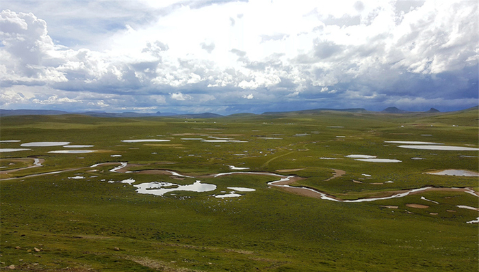 国家公园,三江源地区,功能重组,羌塘国家级自然保护区,草地生产力,植被覆盖度,绿圈圈,省发改委,新作
