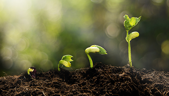 瑞信：区块链技术还在半山腰 2025年才能真正成熟