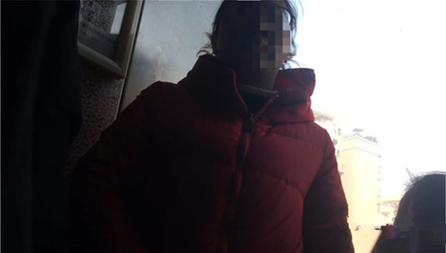 柯基犬,宠物狗,公安机关