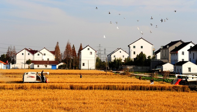 中农办主任解读中央农村工作会议：乡村振兴是“三农”工作的总抓手