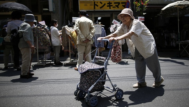日本老龄化,日本单身家庭