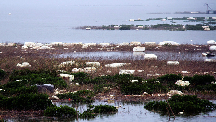 广西,围填海,海洋督察组