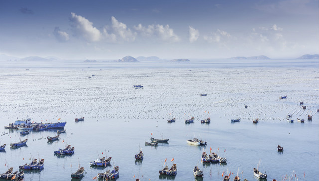 桑吉油轮,舟山渔民,养殖户