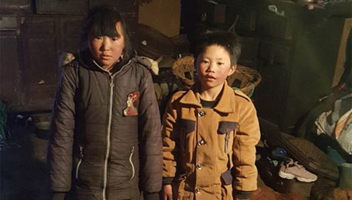 云南“冰花”男孩、捐款、民营医院、电信诈骗