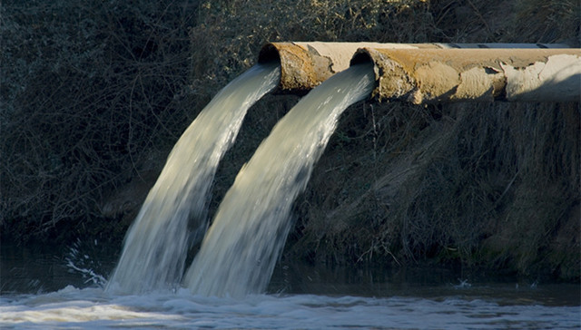 环保部,排污许可证,法律责任