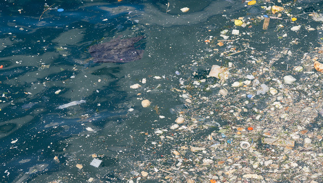 海洋污染,国家海洋局,污染源,生态保护