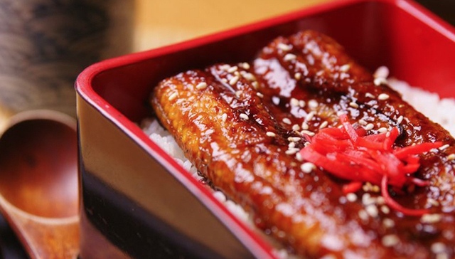 【特写】鳗鱼告急