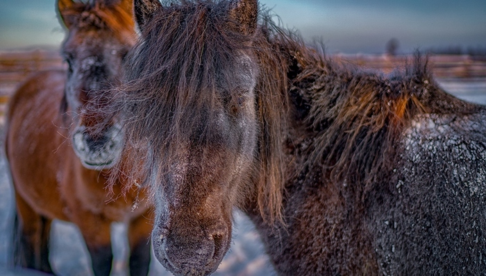 天下故事,惊奇的发现