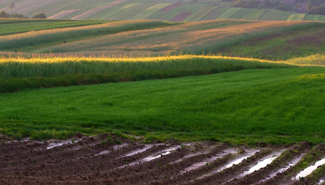 守住耕地保护红线 国办印发省级政府耕地保护责任目标考核办法