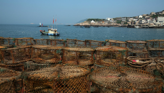 舟山环保局,桑吉,海岸线