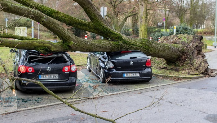 狂风,多国,死亡人数,列车停运,气象部门,每日邮报,学校,铁路方面,电力供应,资格赛