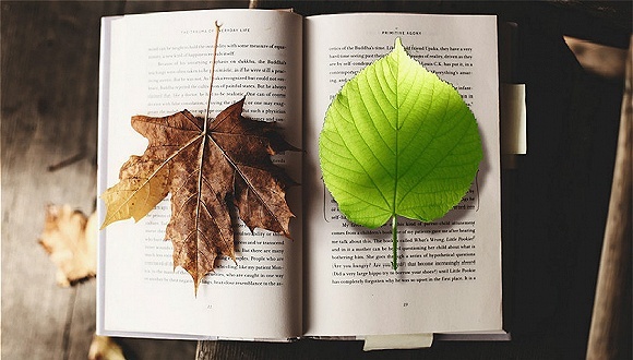 强迫排名体系（Forced,Ranking,System）,循证管理（Evidence,based