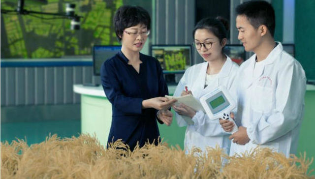 朱艳,阻击战,作物栽培学,极端气候事件,形成方法,农业科研,把脉,栽培管理,专业选择,食物