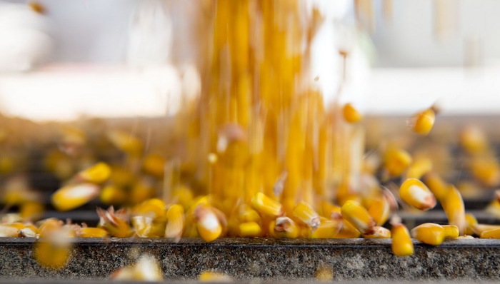 金伯利,特朗普,艾奥瓦州,美国水域,大豆协会,农产品,农业发展,税改,粮价,分裂