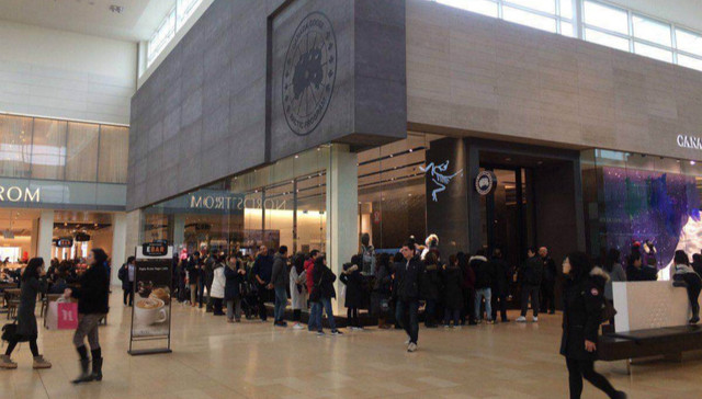 加拿大鹅在多伦多开始限购了？官方对我们说没有这回事