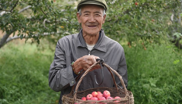 新零售,农产品,百果园