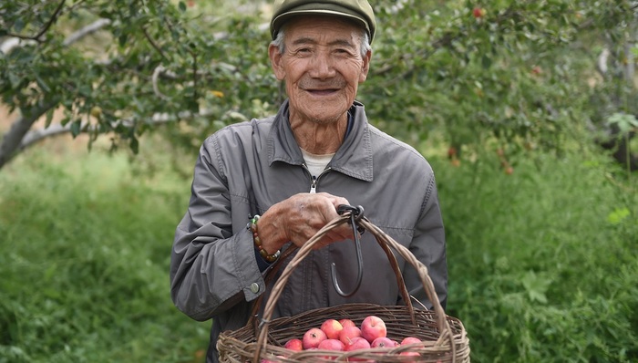 新零售,农产品,百果园