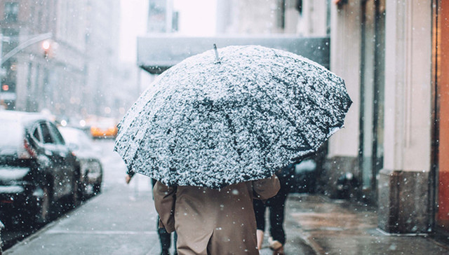 市政府办公厅,低温雨雪,紧急通知