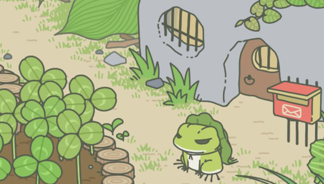 养的蛙“行踪不定”？还不都怪你自己