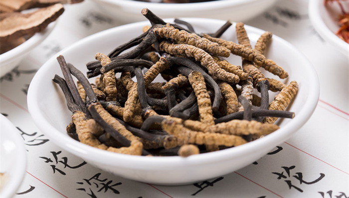 冬虫夏草,天价,抗癌,争议,研究人员