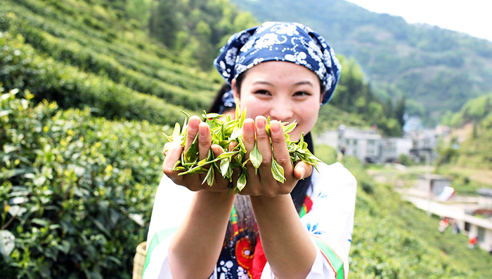 政策|什么是生态红线