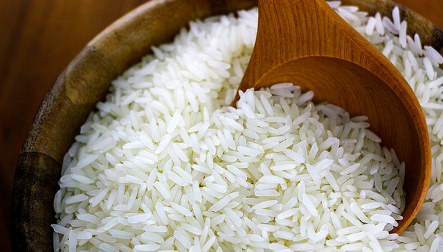 转基因产品,转基因食品,转基因大米,实质等同,转基因玉米,1986年,转基因技术,转基因作物,转基因