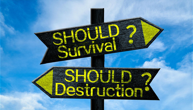 亚里士多德,黑格尔,电子宠物,创造力,员工,文化背景