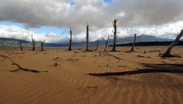 南非,天下故事,非洲社会