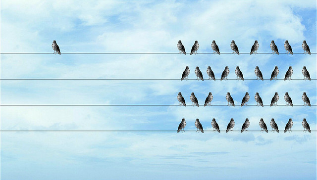 亚马逊,阿里巴巴,价值观,企业文化,绩效,决策,授权