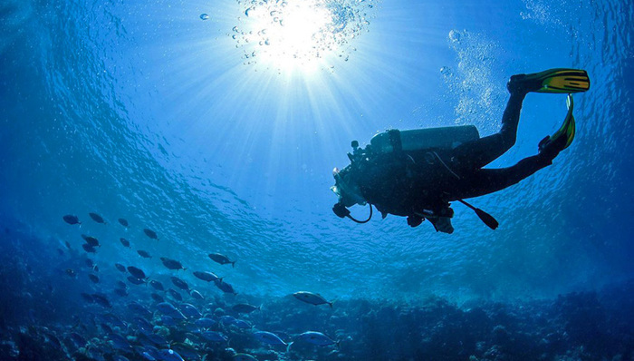 水肺潜水,潜水员,PADI