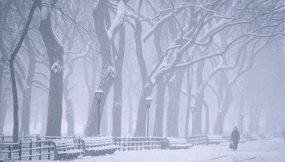 快递业的风雪年关：顺丰与“通达系”冰火两重天