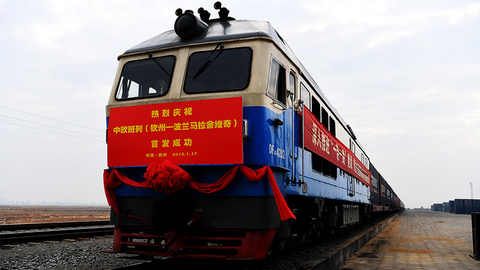 大工业与白海豚“共存共荣”——广西钦州港深化改革开放构建绿色发展高地