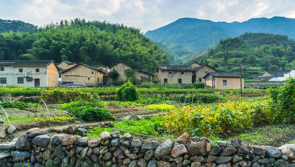 【财经周末】中央一号文件谋划乡村振兴 商务部对美国高粱进行双反调查