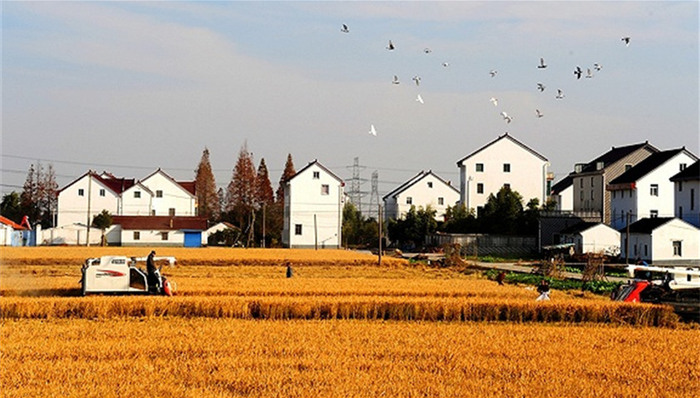 农村生活污水,传统农耕文化,管护方式,湿地恢复,村民,卫生厕所,农村人居环境整治三年行动方案