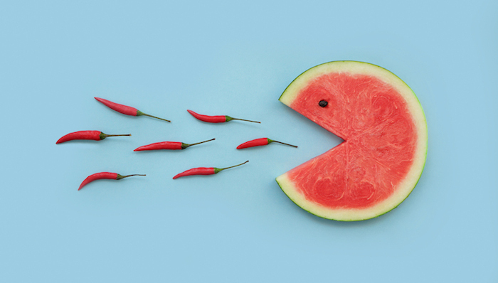 激励,精英,能力梯度,组织,海底捞,岗位层级