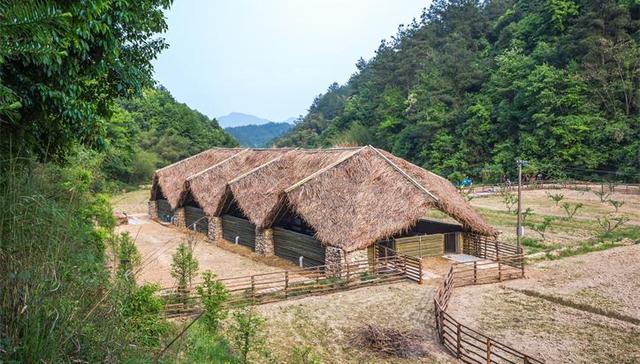 【特写】逃离北上广 有群年轻人返乡种田