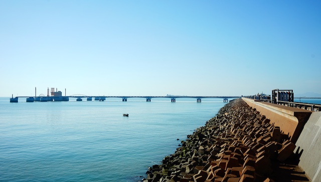 【深度】青岛港变身