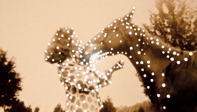 他们用行动证明，纸质杂志并没有死亡