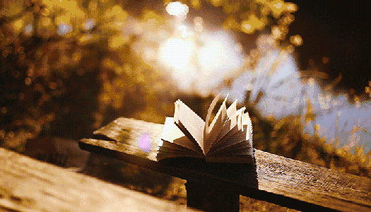 【一周新书推荐】回家路上 带本书吧