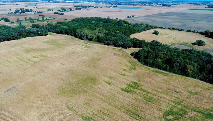 弗林斯,农民,公平市场价,Kenosha,美国白宫,富士康集团,美国总统,乐山村,百万富翁,密尔沃基