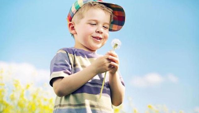 张思川,PUPUPULA,罗永浩,陌陌,Kyle,云网,ilieyun,微信,官网,野望