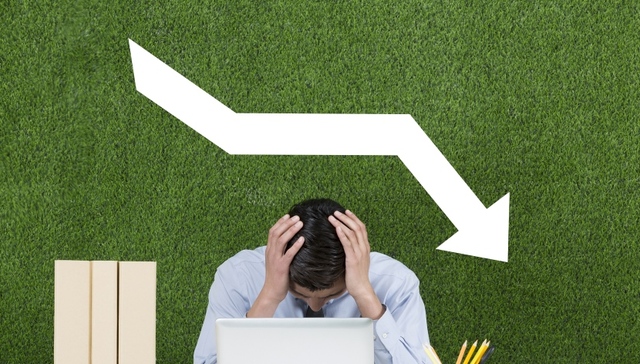 养元,饮品,新股,IPO,国泰君安证券,A股,证监会,跌停板,换手率,业绩下滑