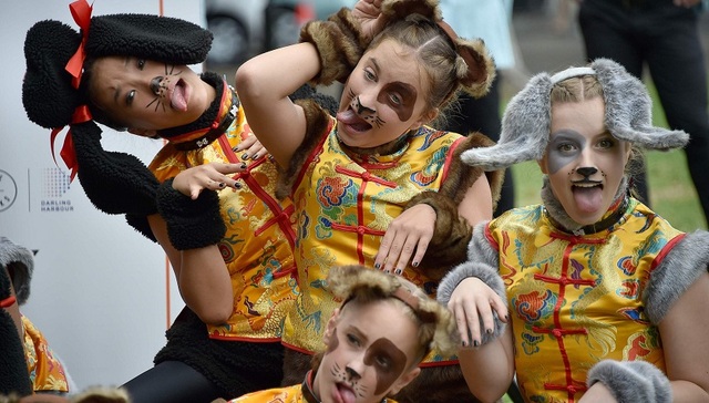 如何走运又旺财以及我能属猫吗？老外是这样理解狗年的