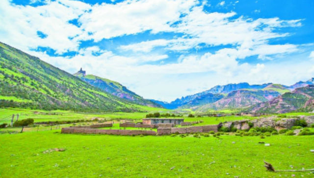 1970年,绿河谷,三江源地区,西宁市南北山,互助北山,生态立省,林海,孙睿,计划,造林绿化